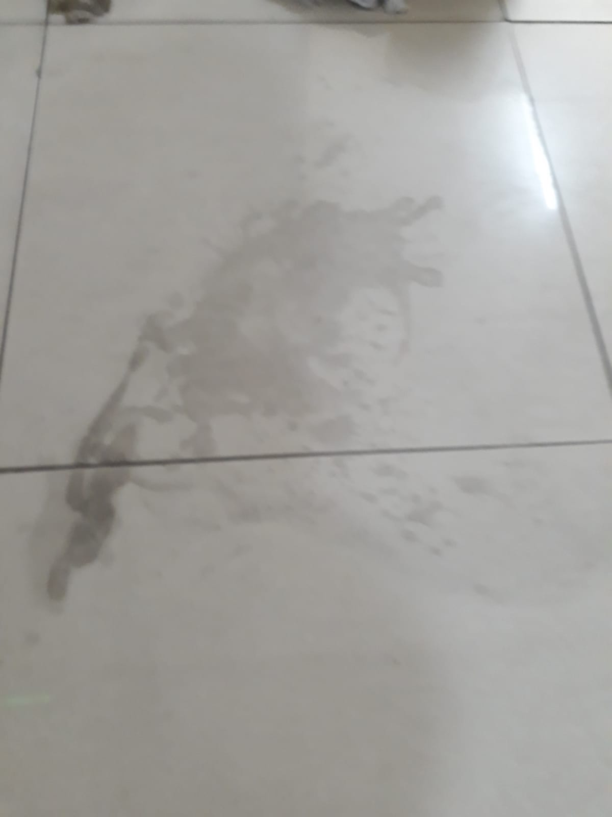 Limpeza e Desincrustação